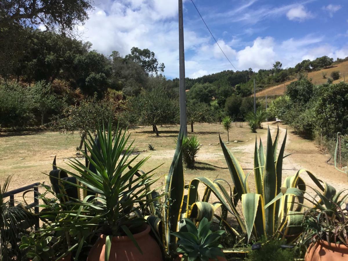Quinta Boavista Villa Cercal do Alentejo Ngoại thất bức ảnh