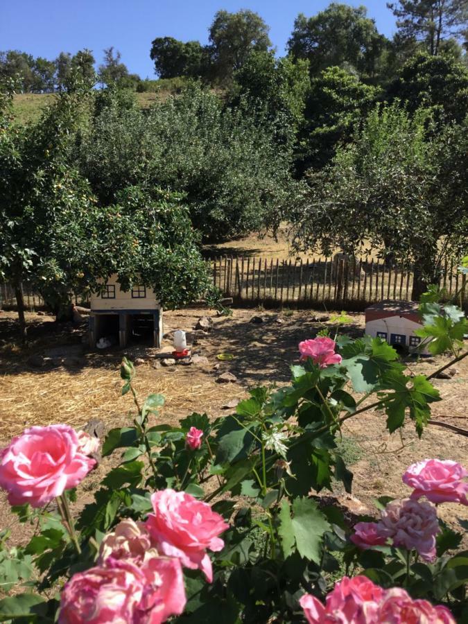 Quinta Boavista Villa Cercal do Alentejo Ngoại thất bức ảnh
