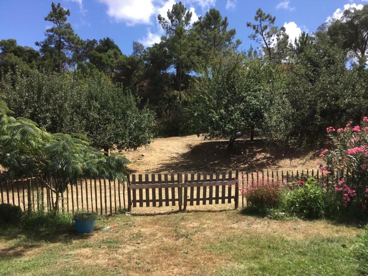 Quinta Boavista Villa Cercal do Alentejo Ngoại thất bức ảnh