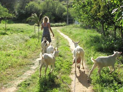 Quinta Boavista Villa Cercal do Alentejo Ngoại thất bức ảnh